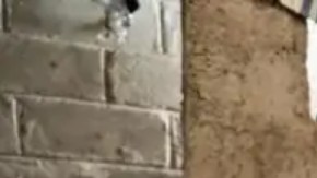 El gobierno de Cuba argumenta que en época de crisis es cuando más se necesita "ejercer control".