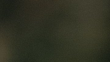 Las águilas pueden ser mensajeros espirituales.