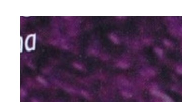 Alfredo Adame y Eduardo Yáñez