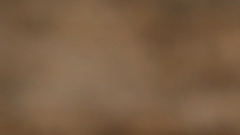 ¿Dónde encontrar los artículos escolares más baratos?