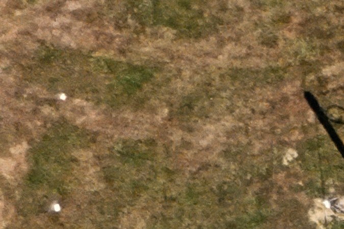 ¿Se podía evitar el intento de asesinato a Trump?: lo que dice un experto de SWAT