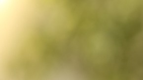 Cuatro mitos del ayuno intermitentes desmentidos por científicos