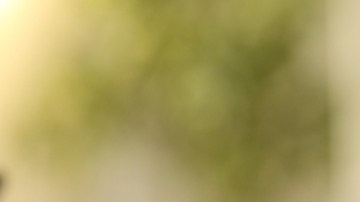 Cuatro mitos del ayuno intermitentes desmentidos por científicos