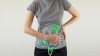 Algunas bacterias intestinales pueden desencadenar alimentación compulsiva: qué debemos saber