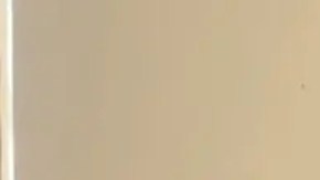 El expresidente de Bolivia, Evo Morales, sostiene que está apto para disputar nuevas elecciones en 2025 y cree que contará con el apoyo popular.