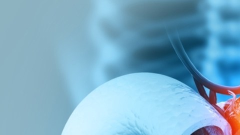 Descubren ADN capaz de combatir el cáncer de páncreas