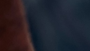 En lo que va de 2024, los agentes de la TSA han detectado un promedio de 19 armas de fuego por día.