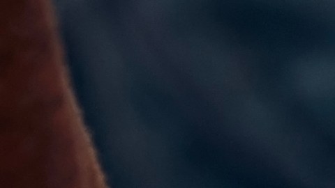 En lo que va de 2024, los agentes de la TSA han detectado un promedio de 19 armas de fuego por día.