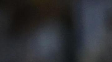 Lionel Scaloni celebrando su cuarto título con la Selección de Argentina en cuatro finales disputadas.