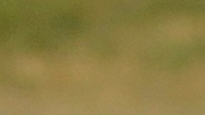 Demandan por abuso sexual a operador de refugios para niños migrantes de Texas, Arizona y California