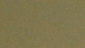 La oposición republicana ha pedido la renuncia de la directora del Servicio Secreto.