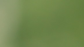 ¿Se puede recibir ayuda financiera si tienes una discapacidad y no has trabajado?