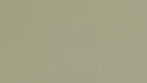 Kimberly Cheatle fue cuestionada por senadores de EE.UU. en una audiencia el lunes.