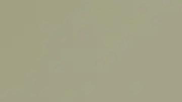 Kimberly Cheatle fue cuestionada por senadores de EE.UU. en una audiencia el lunes.