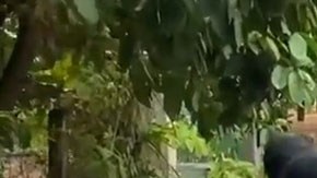 éxodo de habitantes de Chiapas