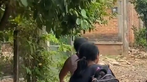 éxodo de habitantes de Chiapas