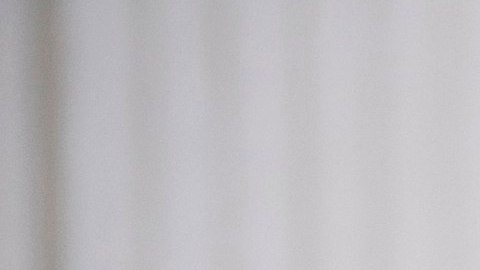 Melania Trump dice que atacante era un "monstruo" que intentó aniquilar la pasión de su marido