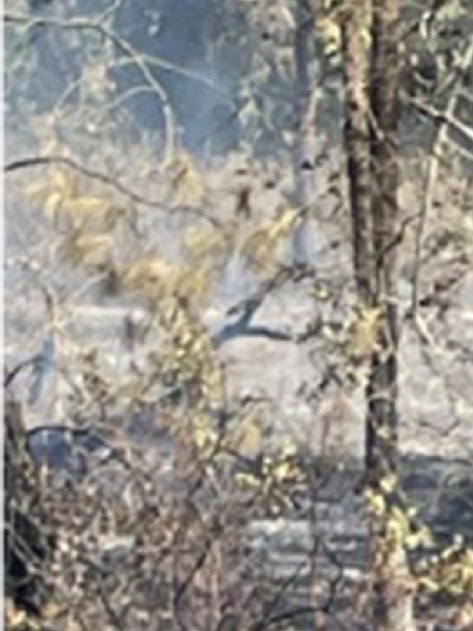 Foto proporcionada por la Oficina del fiscal de distrito del condado de Butte muestra un automóvil quemado que los investigadores de incendios provocados de Cal Fire rastrearon hasta el inicio del incendio Park en Chico, California.