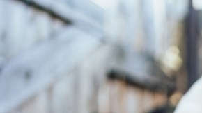 Gripe aviar: 5 trabajadores en una granja de Colorado dieron positvo