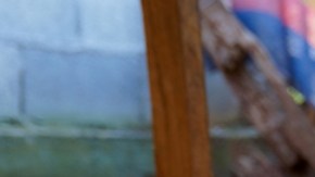 CDC envían equipo de campo para ayudar a Colorado en respuesta a gripe aviar