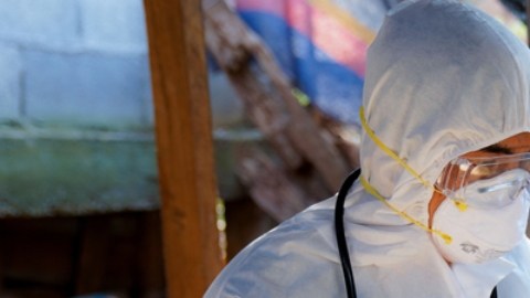 CDC envían equipo de campo para ayudar a Colorado en respuesta a gripe aviar