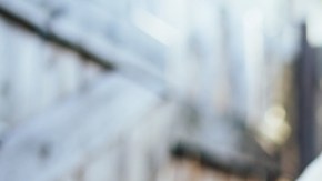 El calor puede aumentar la propagación de gripe aviar: por qué