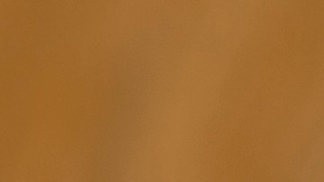 Los gusanos pueden tener un mensaje espiritual.