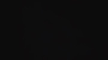 Soñar con hormigas tiene un simbolismo que se puede aplicar a la vida real.