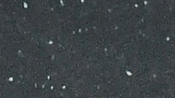 Hugh Jackman y Ryan Reynolds.