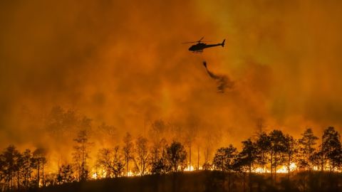 California: humo de incendios forestales se relaciona con miles de muertes prematuras