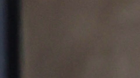 Jeremy Allen White y Rosalía