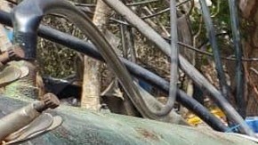 Marina en México desmantela segundo “narcolaboratorio” más grande durante el gobierno de AMLO