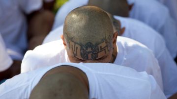 La Mara Salvatrucha (MS-13) es una pandilla internacional involucrada en tráfico de drogas y personas, asesinato y extorsión, entre otros delitos.