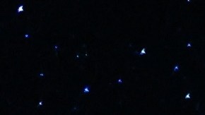 El horóscopo se verá impactado por la conjunción de Marte y Urano en Tauro.