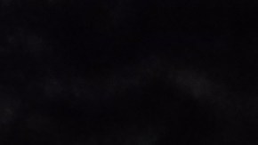 Revisa tu cartera: la moneda de 5 centavos vale $275 dólares