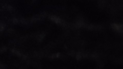 Revisa tu cartera: la moneda de 5 centavos vale $275 dólares