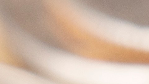 Darán $16,000 dólares a la persona que encuentre esta vieja moneda difícil de hallar