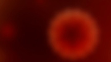 11 residentes de Connecticut fueron diagnosticados con Mpox en 2024