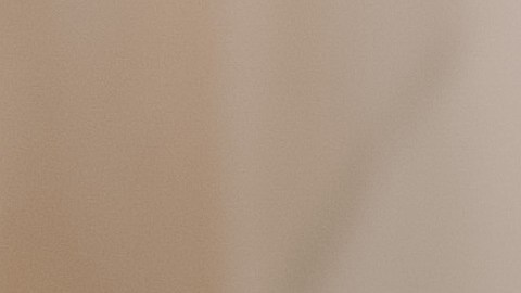 El palo santo se usa en los rituales para eliminar energías negativas.