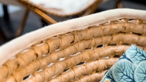 Perros, ratas y abejas pueden detectar enfermedades en humanos