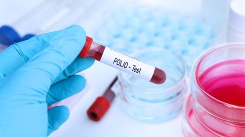 OMS está "muy preocupada" por posible brote de polio en Gaza