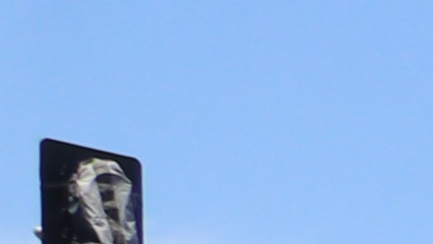 En el piso se pueden ver las marcas dejadas por los vehículos en una toma de calle ilegal en el sur de LA.