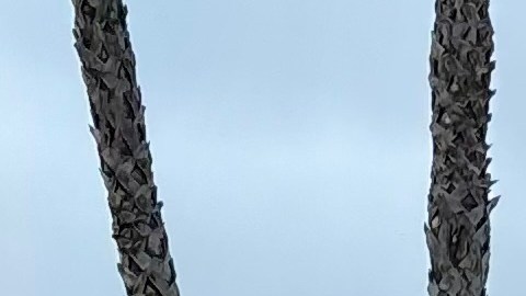 Fowler Gun Room es una tienda de venta de armas y negocio familiar inaugurado desde 1958.