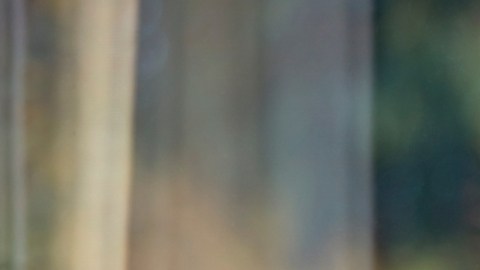 Casi un tercio de adolescentes en EE.UU. recibe tratamiento de salud mental