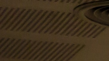 Restaurante de Hamburguesas