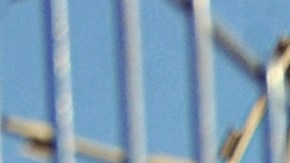 Tres reclusos muertos y nueve heridos en una pelea en prisión de Nevada