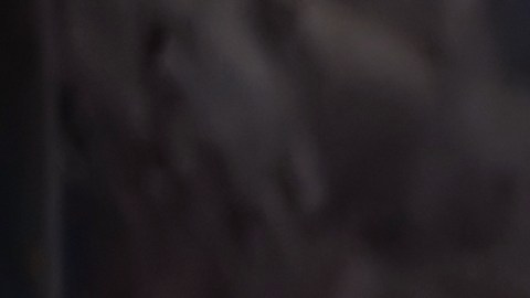 Estos signos comparten el gusto por hacer felices a los demás.