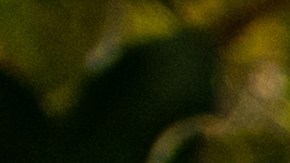 La ciudad de EE.UU. donde el alquiler se ha disparado un 7.8% interanual