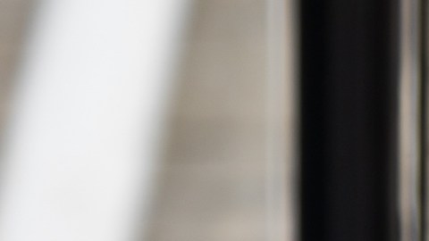 El estado donde se habla español y escasean los trabajadores