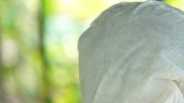 OMS acelera vacuna contra la influenza aviar humana (H5N1)